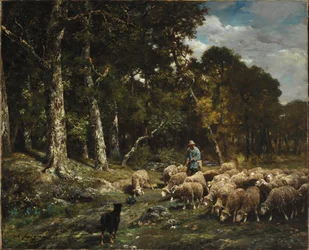 The Flock