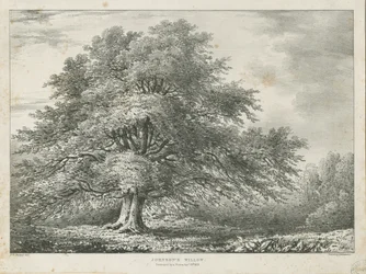 Lichfield - Dr. Johnson