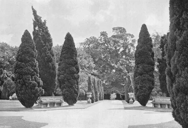 The Crossways, South Garden