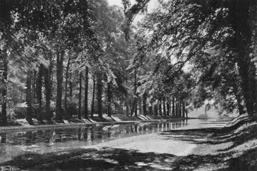 The T Pond