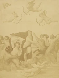 Galatea (Reproduction)