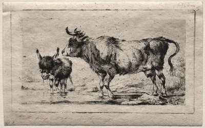 Cow and Ass