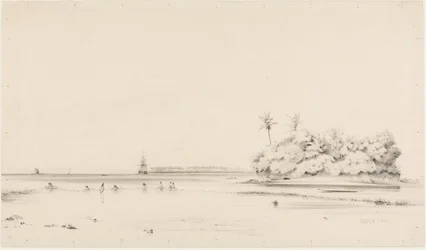 Study