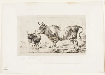 The Cow and Ass