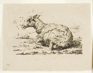 The Sheep and the Flies