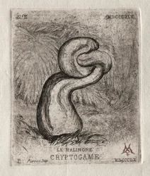 The Sickly Cryptogam