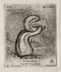 The Sickly Cryptogam
