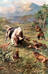 Hunting Wild Cattle in Haiti