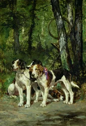 A Pack of Hounds
