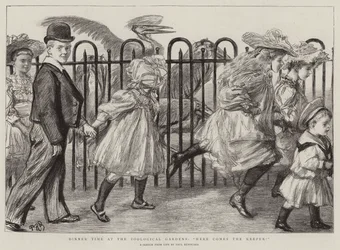 Dinner Time at the Zoological Gardens, Here comes the Keeper!