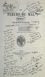 Good to draw from “Fleurs du Evil”, annotated by Charles Baudelaire