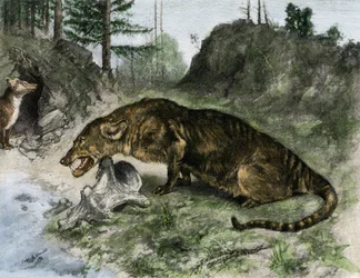 Prehistory: a mesonyx on the shores of Lake Uintah in Utah and Wyoming (USA)