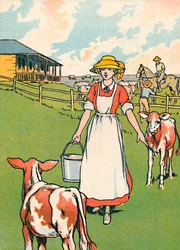 An Australian Dairy Farm