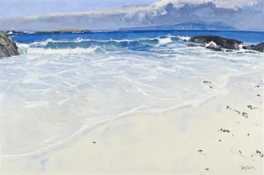 After the Storm, Iona, 2010