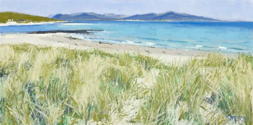 Beach Grasses, Berneray, 2011