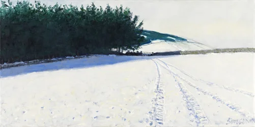 Dark Trees & Snow, 2011