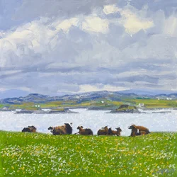 Dozing Sheep, Iona, 2015