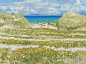 Glimpse of Harris, 2014