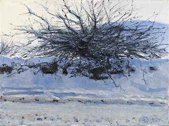 Hawthorn, 2011