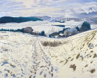 Track down the Hill, 2015