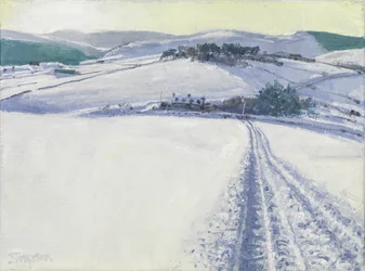 Track through the Snow, 2016