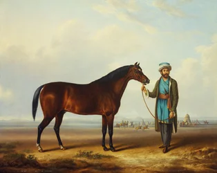 An Arab stallion held by a groom with an encampment beyond