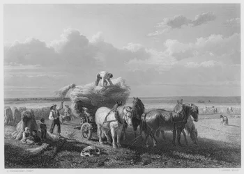 The Harvest-Field (from the picture in the Royal Collection)