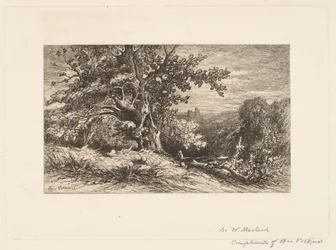 Landscape with Fallen Tree