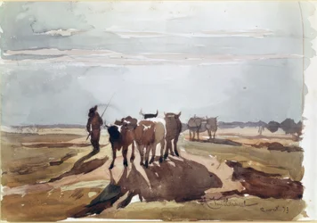 The Oxen