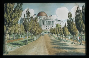 View of the Capitol
