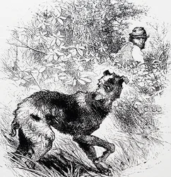 A Poacher with His Lurcher