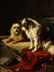 Dogs and a Tortoise