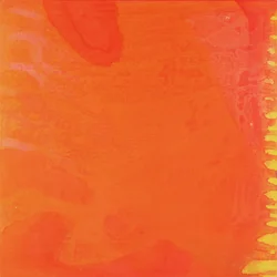 Rabbit Orange