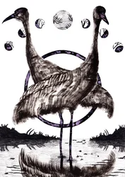 Cranes in Love, 2020