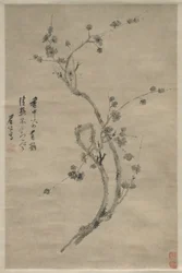A Cut Branch of Blossoming Plum