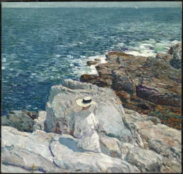 The South Ledges, Appledore