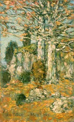 Tree Landscape