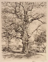 Wayside Inn Oaks in Spring