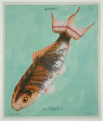 Le Superbe, engraved by Francois Nicholas Martinet