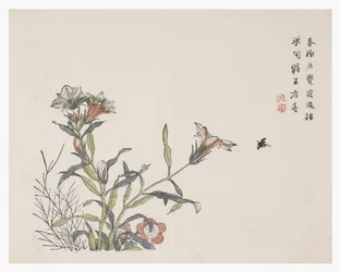Mustard Seed Garden