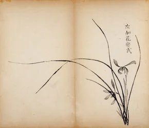 Ten Bamboo Studio Prints
