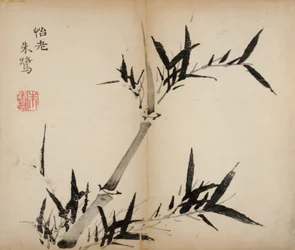 Ten Bamboo Studio Prints