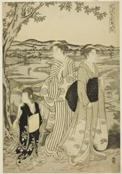 Parrot Komachi, from the series The Fashionable Seven Komachi