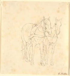 A Team of Horses
