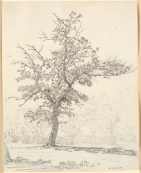 Part of a Garden