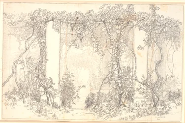 Study of a Pergola in Capri