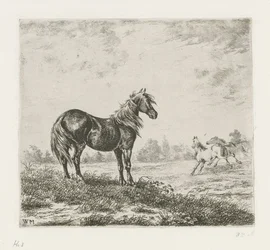 Landscape with Three Horses