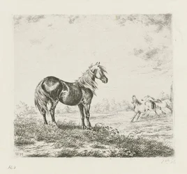 Landscape with Three Horses