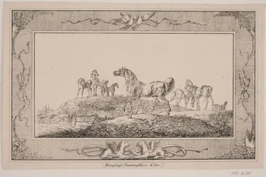 A Stallion Trotting