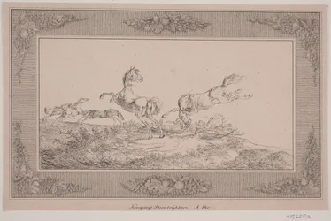 Five Stud Horses